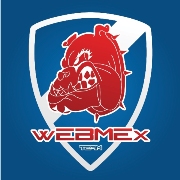 Webmex team logo