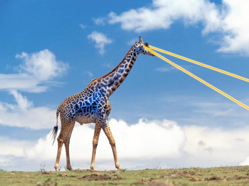 giraffe_colossus
